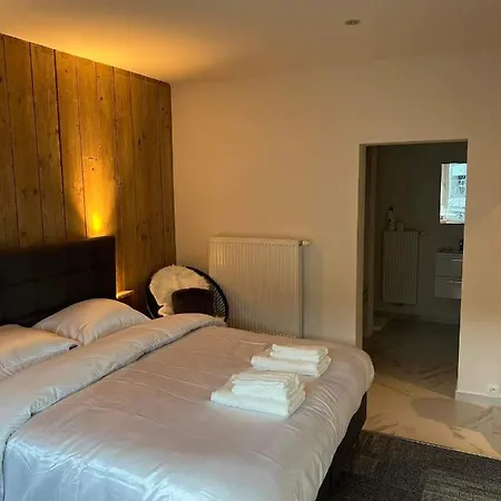 Grote In Centrum Met Badkamer ! Oda ve Kahvaltı Brugge